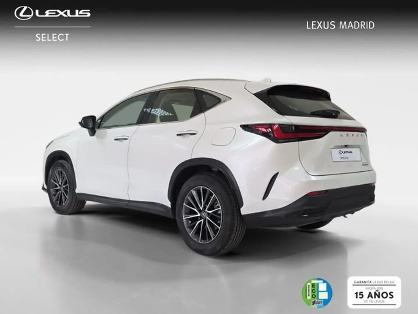 Lexus NX 300h 350h Business City 2WD Blanco - 2