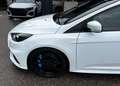 Ford Focus RS AWD *Schalensitze*Perfekter Zustand* Weiß - thumbnail 8