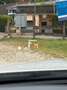 BMW 530 d xDrive M Sport AUT HEAD UP ACC M-FELGEN SZH Wit - thumbnail 17