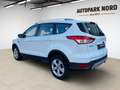 Ford Kuga Sync Edition/AHK/SHZ/TEMP/PDC/START-STOP Weiß - thumbnail 3