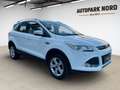 Ford Kuga Sync Edition/AHK/SHZ/TEMP/PDC/START-STOP Weiß - thumbnail 2