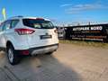 Ford Kuga Sync Edition/AHK/SHZ/TEMP/PDC/START-STOP Weiß - thumbnail 18