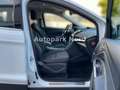 Ford Kuga Sync Edition/AHK/SHZ/TEMP/PDC/START-STOP Weiß - thumbnail 11
