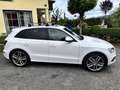 Audi SQ5 3,0 TDI quattro DPF Tiptronic - thumbnail 3