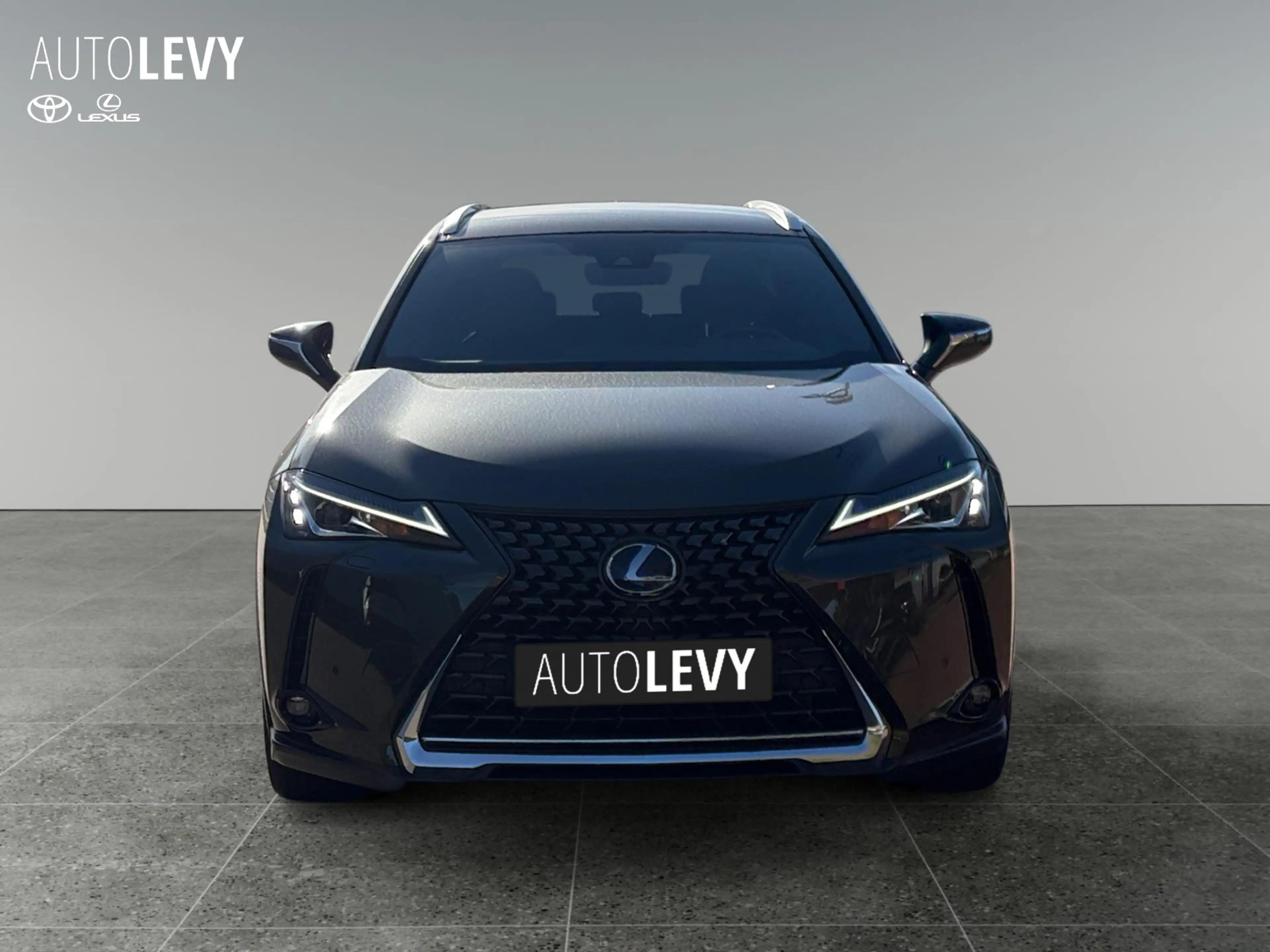Lexus UX 250h UX 250 h 250h Style Edition *SHZ*Navi*RFK*CarPlay — photo 9