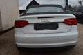 Audi A3 Cabrio  1.2 TFSI / PDC / Leder / Cruise / Garantie Wit - thumbnail 8