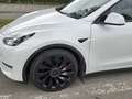 Tesla Model Y Performance Dual Motor AWD - thumbnail 5