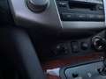 Lexus RX 300 Executive l Topconditie l Documentatie l Schwarz - thumbnail 20