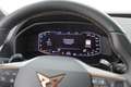 CUPRA Leon 2.0 TDI DSG 150 PS Schwarz - thumbnail 13