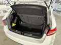 Skoda Fabia 1.0 TSI 95 CV Young Edition Bianco - thumbnail 14