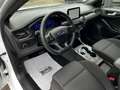 Ford Focus 1.5 TDCI*ST-Line X*AUTOMATIK*NAVI*LED*KAM* Blanc - thumbnail 17