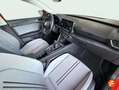 SEAT Leon 1.0 TSI S&S Style 110 Rojo - thumbnail 13