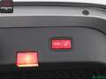 Mercedes-Benz CLS 220 CLS 220 Shooting Brake d SPORTPAKET SITZKLIMA,SH Plateado - thumbnail 25