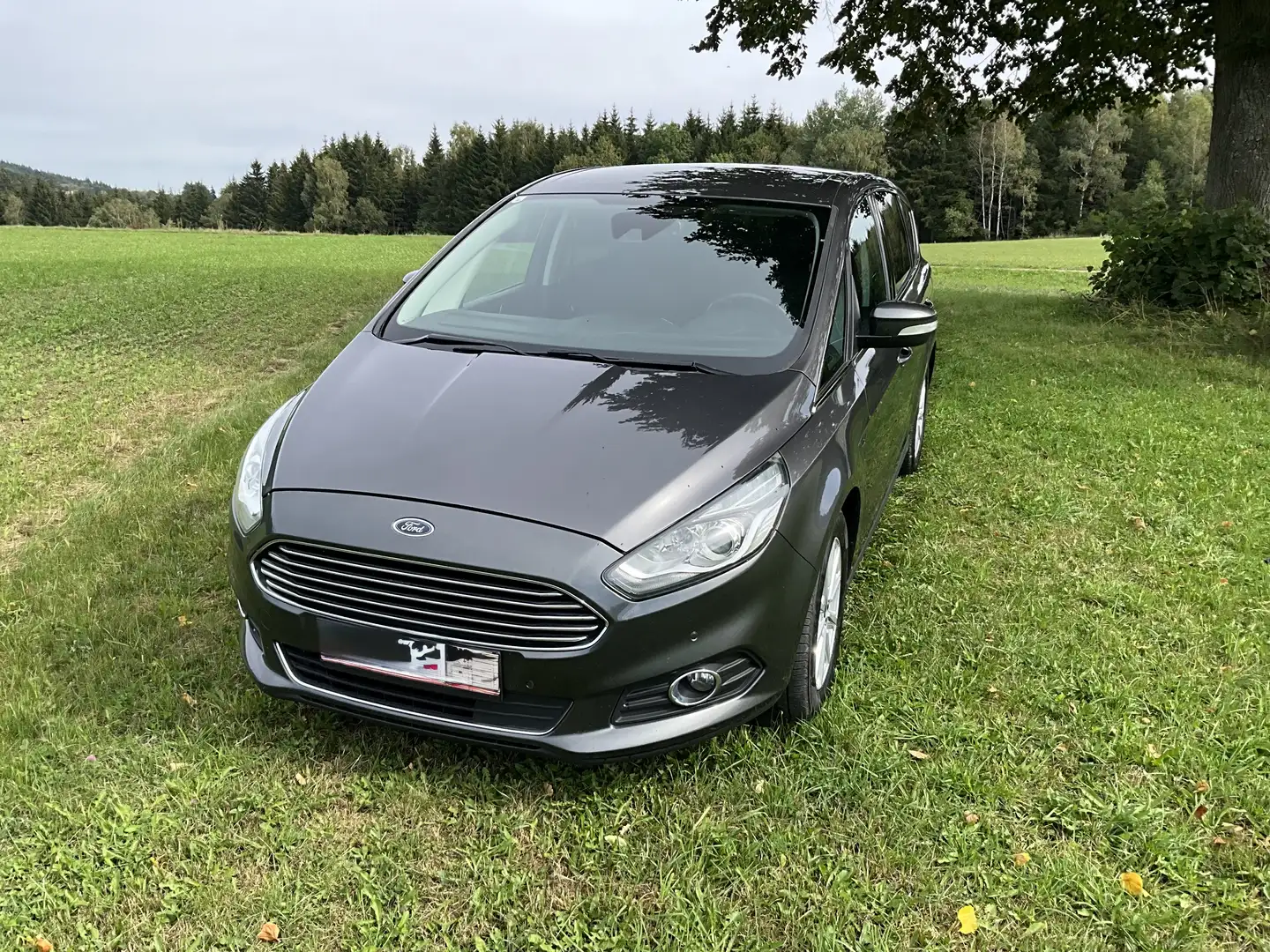 Ford S-Max S-MAX Business 2.0 TDCi Auto-Start/Stop Aut. Busin Grau - 2
