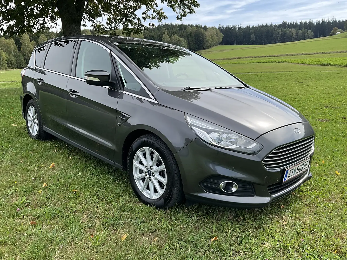 Ford S-Max S-MAX Business 2.0 TDCi Auto-Start/Stop Aut. Busin Grau - 1