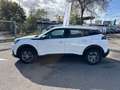 Peugeot 2008 PureTech 100 Active Pack S/S Blanc - thumbnail 2
