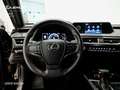 Lexus UX 250h Business Negro - thumbnail 13