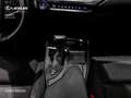 Lexus UX 250h Business Negro - thumbnail 11