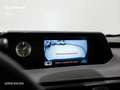 Lexus UX 250h Business Negro - thumbnail 16