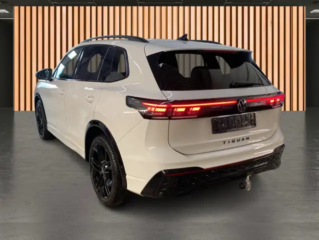 Volkswagen Tiguan view 10