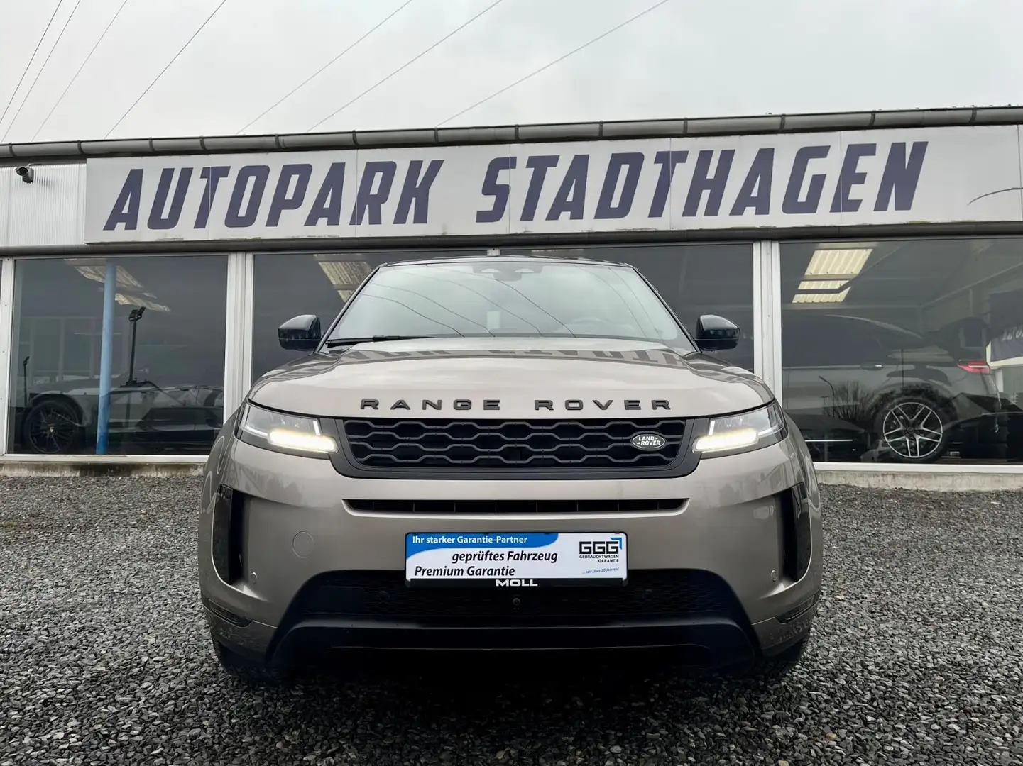 Land Rover Range Rover Evoque S P300E  3D-KAMERA/DAB/LED Beige - 2