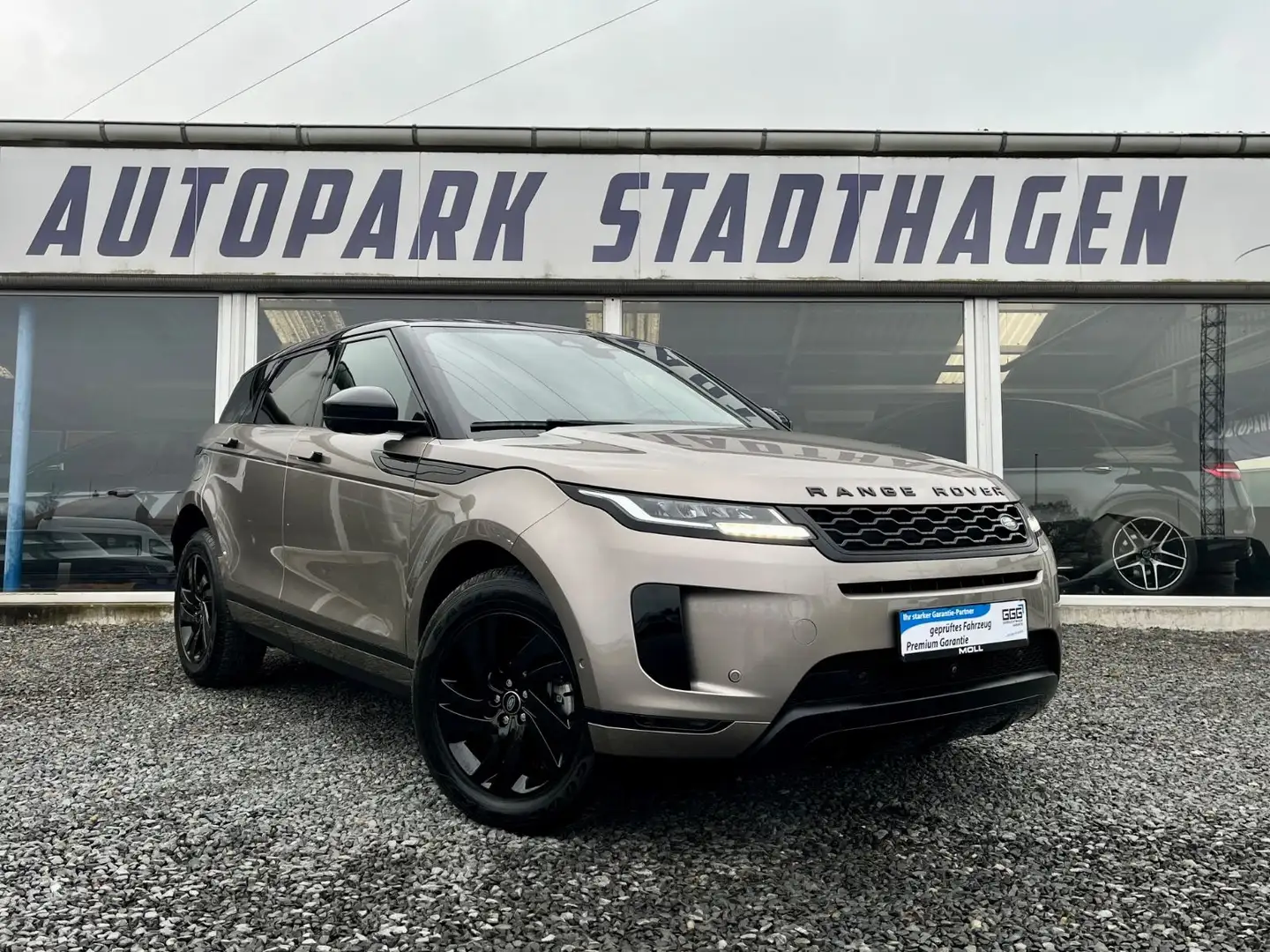 Land Rover Range Rover Evoque S P300E  3D-KAMERA/DAB/LED Beige - 1