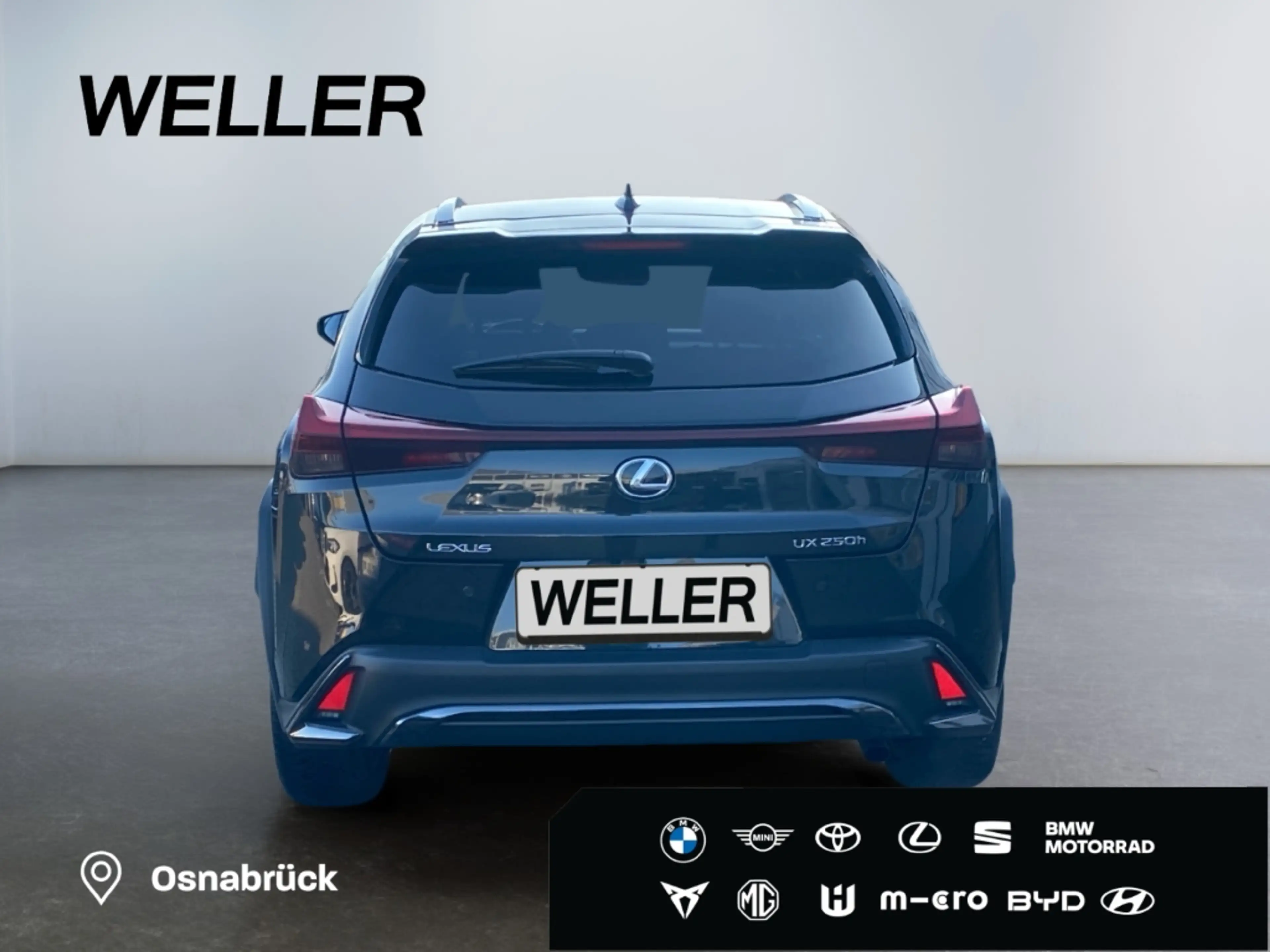 Lexus UX 250h F SPORT Design *Bi-LED*ACC*RCam*SHZ*PDC* — photo 6
