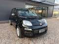 Fiat Panda 1.0 FireFly S&S Hybrid Nero - thumbnail 3