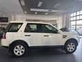 Land Rover Freelander Freelander II 2.2 td4 SE 4wd 150cv Alb - thumbnail 4
