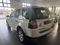 Land Rover Freelander Freelander II 2.2 td4 SE 4wd 150cv Alb - thumbnail 5