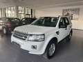 Land Rover Freelander Freelander II 2.2 td4 SE 4wd 150cv Alb - thumbnail 1