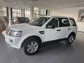 Land Rover Freelander Freelander II 2.2 td4 SE 4wd 150cv Alb - thumbnail 2