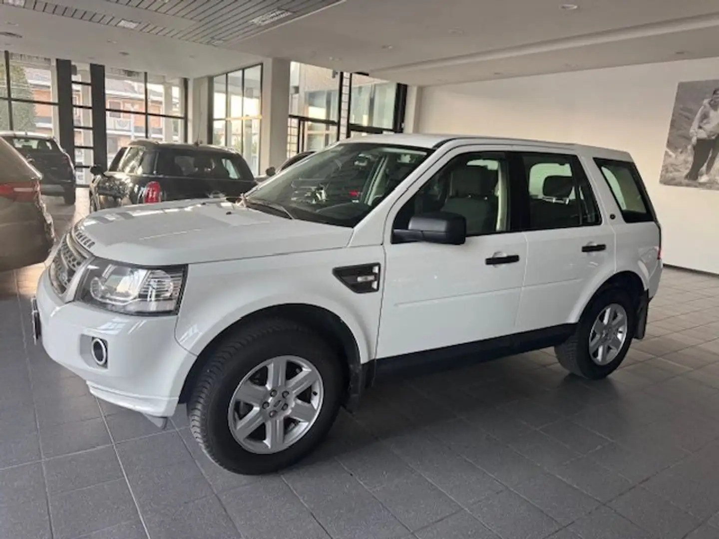 Land Rover Freelander Freelander II 2.2 td4 SE 4wd 150cv Bianco - 2