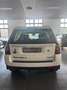 Land Rover Freelander Freelander II 2.2 td4 SE 4wd 150cv Alb - thumbnail 3