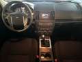 Land Rover Freelander Freelander II 2.2 td4 SE 4wd 150cv Alb - thumbnail 10