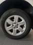 Land Rover Freelander Freelander II 2.2 td4 SE 4wd 150cv Alb - thumbnail 9