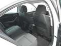 Skoda Octavia 2.0TDI Ambition Plus 85kW Blanco - thumbnail 39