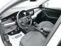 Skoda Octavia 2.0TDI Ambition Plus 85kW Blanco - thumbnail 8