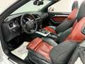 Audi S5 3.0 TFSI Stronic quattro Cabriolet°Navi°ACC Weiß - thumbnail 13