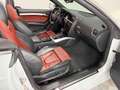 Audi S5 3.0 TFSI Stronic quattro Cabriolet°Navi°ACC Weiß - thumbnail 11