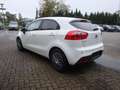 Kia Rio Edition 7 Wit - thumbnail 6