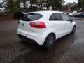 Kia Rio Edition 7 Wit - thumbnail 4