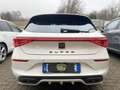 CUPRA Leon 1.5 hybrid 150cv dsg *Full* Bianco - thumbnail 5
