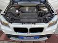 BMW X1 18 d sDrive Automatik  Panoramadach Blanco - thumbnail 19