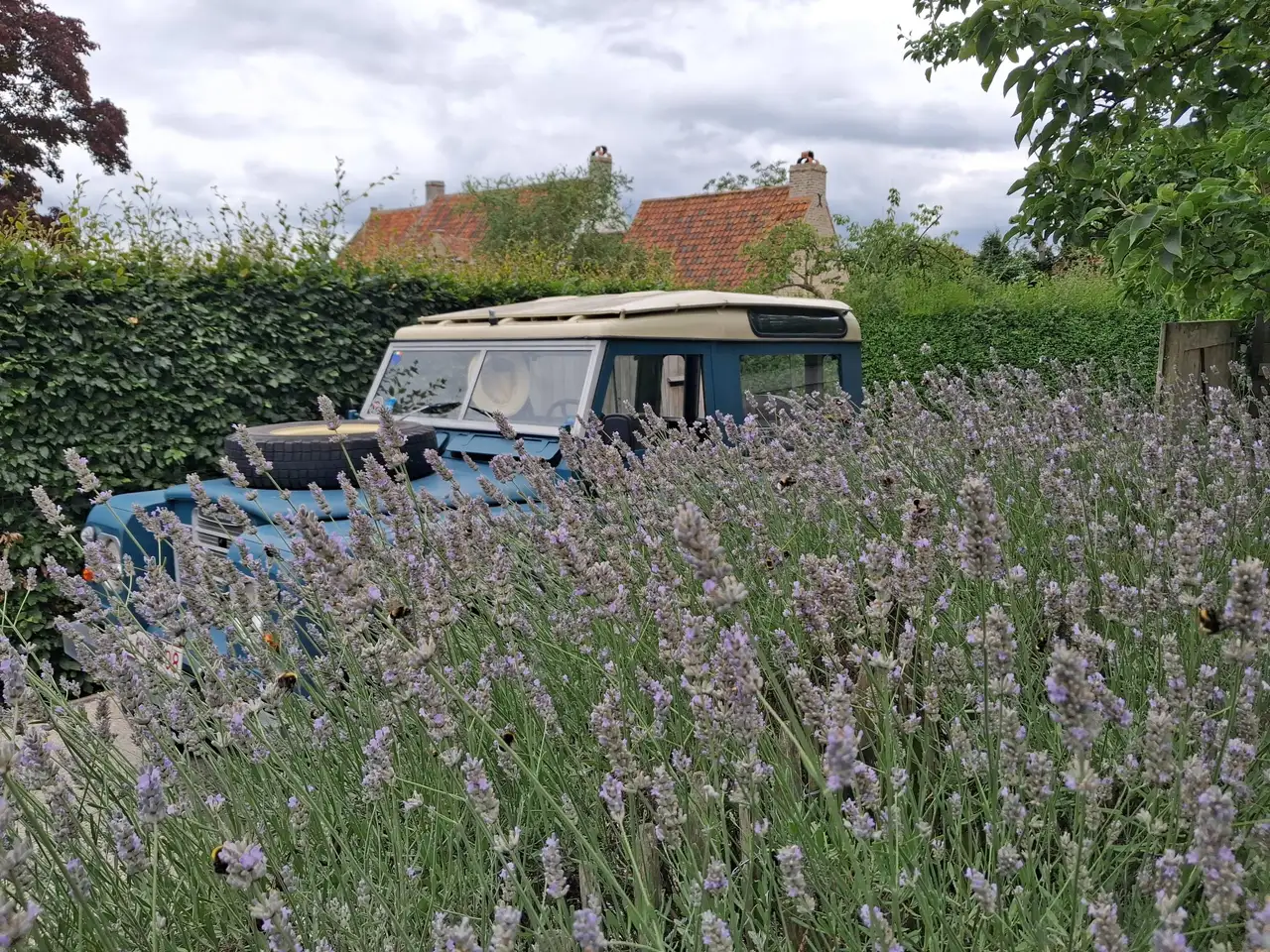 Land Rover Series 3, foto 6
