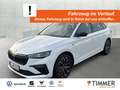 Skoda Scala 1.0 TSI TOUR BLACK *MATRIX *RKAM *CARPLAY *DAB *S Weiß - thumbnail 1