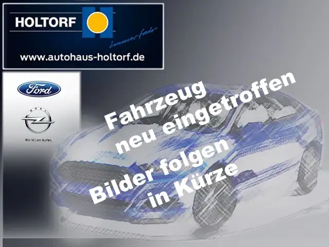 Ford Autres Active Klima Alu