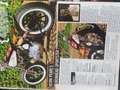 Harley-Davidson Sportster 1000 custom ironhead sportster Mauve - thumbnail 6