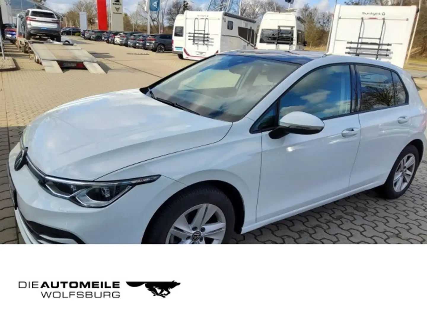 Volkswagen Golf 8 VIII 1.5 TSI Life Standhzg/Pano/ACC Blanc - 1
