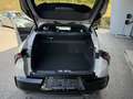 Alfa Romeo Junior Ibrida Q4 1.2 MHEV eAWD e-DCT6 Grau - thumbnail 25